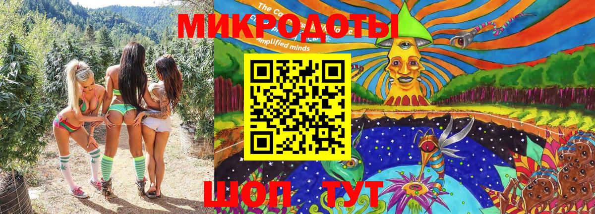 Псилоцибиновые грибы мицелий Владивосток